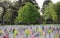 Memorial Day United States Flags at Military Headstones in Cemetery