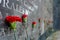 Memorial flowers lay against the names of the victims