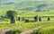 Memorial mausoleum complex in the Kalahana village, Azerbaijan