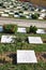 Memorial Stones, Turkish 57th Regiment Memorial Park Symbollic Cemetery, Gallipoli, Turkey