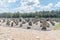 Memorial at Treblinka II, with 17,000 quarry stones symbolising gravestones