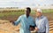 Men agriculturists talking on vegetable field