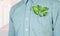 Men in business shirts have leaves in their pockets nature\'s work in saving the environment.business nature concept