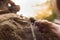 Men climbing on rock outdoor