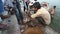 Men collecting fish in bag at ghat in Varanasi, with children standing aside.