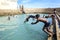 Men dive into Vali North Pradeshiya Sabha (Keerimalai Sacred Bath) in the Jaffna region of Sri Lanka.