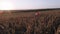 The men estimate the damage caused by the drought and discuss irrigating the land.