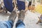 Men feet in sneakers on background of deckchairs on beach