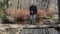 Men are fishing on log which cross the river