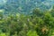 Men going on a zipline in the jungle