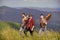 Men with guitar hiking on sunny day. Hiking with friends. Long route. Adventurers squad. Tourists hiking concept. Group