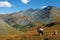 Men, horse and mountains