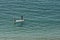 Men paddle a boat across the Harbour in Alexandria in Egypt.