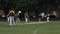 Men play Cricket in Victoria park Auckland, New Zealand