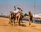 Men ride camels with others nearby to train for racing in close