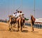 Men ride camels with others nearby to train for racing in close