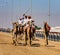 Men ride camels with others nearby to train for racing  in close quarters