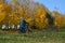 Men riding on a bike autumn landscape in the Minsk city Belarus