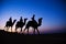 Men Riding Camel Through The Dimly Lit Desert