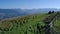 Men riding quad bikes on mountains background.