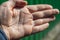 Men`s calloused hands with clear lines of life and dry skin on a green background. Selective focus