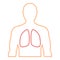 Men`s contour with the designation of healthy lungs.