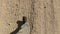 Men`s feet in brown hiking shoes and green pants walking along the dusty road, first person view from above. Direct daylight.