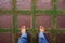 Men`s feet on Seamless texture brown concrete pavement covered grass.