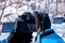 Men`s gloved hands hold a camera, photographing a winter forest in the snow