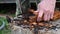 Men`s hands with an axe clean chaga mushroom birch fungus in the fresh air. step by step.