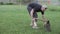 Men\'s hands chop firewood with an ax on a special stump on the background of beautiful green grass