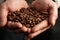Men`s hands hold a handful of coffee beans.