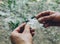 Men`s hands are holding cracked glass from a smartphone close-up on a blurred background. broken protection on the phone screen i