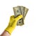 Men\'s hands with orange work gloves hold hundred-dollar bills