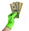 Men& x27;s hands with orange work gloves hold hundred-dollar bills, p