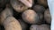 Men`s hands touch potatoes. Large potatoes in bag. Huge potato harvest close up view