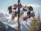 men\\\'s hats hanging on a tree against the backdrop of snow-capped mountains