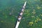 Men`s quadruple rowing team on green water