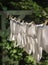 Men`s Underwear on Vintage Outdoor Clothesline