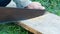 Men saws a piece of wood with hand-held old iron saw close up view