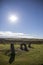 Men an tal ancient monument holed stone