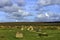 Men-an-Tol known as Men an Toll or Crick Stone - small formation of standing stones in Cornwall