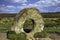 Men-an-Tol known as Men an Toll or Crick Stone - small formation of standing stones in Cornwall