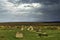 Men-an-Tol known as Men an Toll or Crick Stone - small formation of standing stones in Cornwall