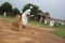 Men in traditional attire play cricket, Sarkhej Roza