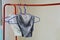 Men underwear in hanger on red cloth line at home