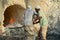 Men wearing traditional head scarfs and squirts work at an outdoor coal production oven in Aden, Yemen.