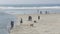 Men and women on dog friendly ocean beach. People walking and training pets. Del Mar, California USA