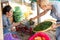 Men and women selling vegetables weigh green chili and carry tray of green chilies