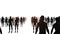 men women silhouettes people loop animation